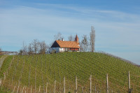 /album/kleeblattweg-3-leutschach-7-oktober-2024/leutschach-kleeblattweg-3-25-11-2024-5-jpg/